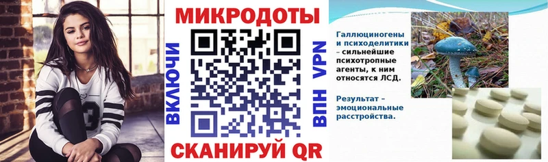 где купить наркоту  мега tor  Псилоцибиновые грибы мицелий  Архангельск 