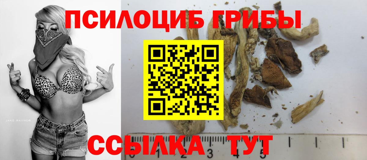 Галлюциногенные грибы MAGIC MUSHROOMS  Вход с VPN  Архангельск 